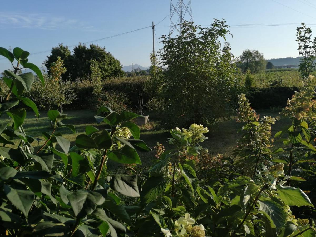 Bed and Breakfast Ca' Blanca Кастельнуово-дель-Гарда Экстерьер фото