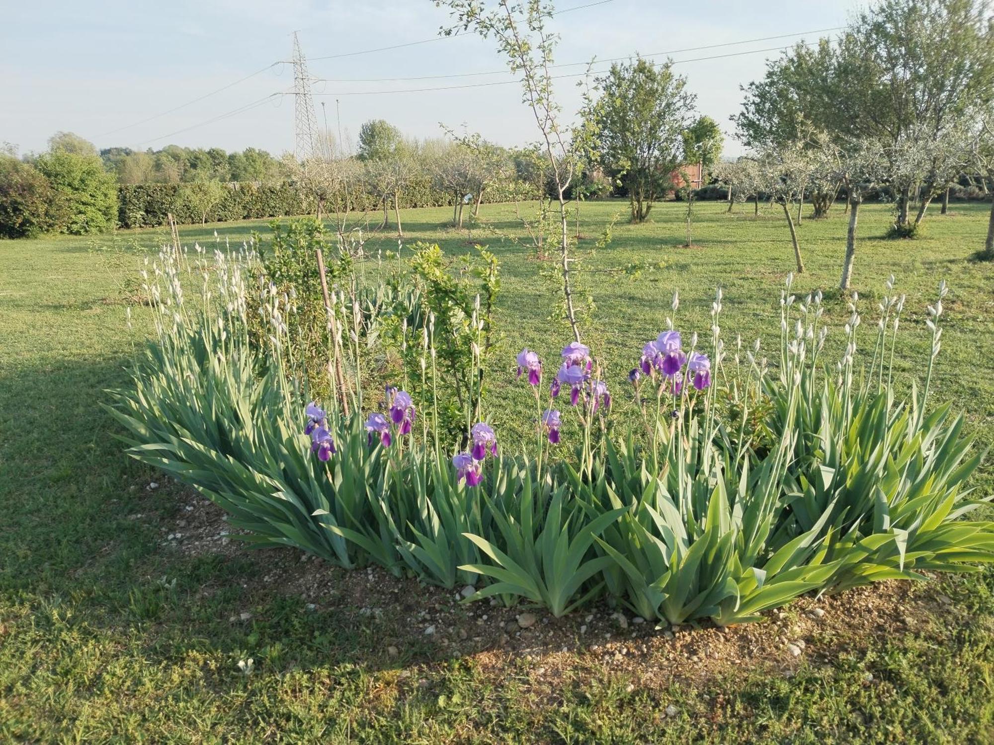 Bed and Breakfast Ca' Blanca Кастельнуово-дель-Гарда Экстерьер фото